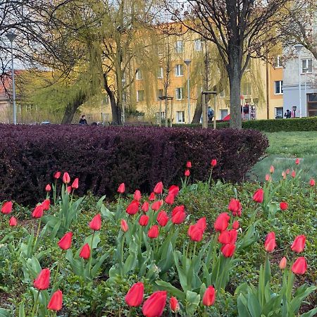 Mona Wrzeszcz Apartment Gdansk Ngoại thất bức ảnh